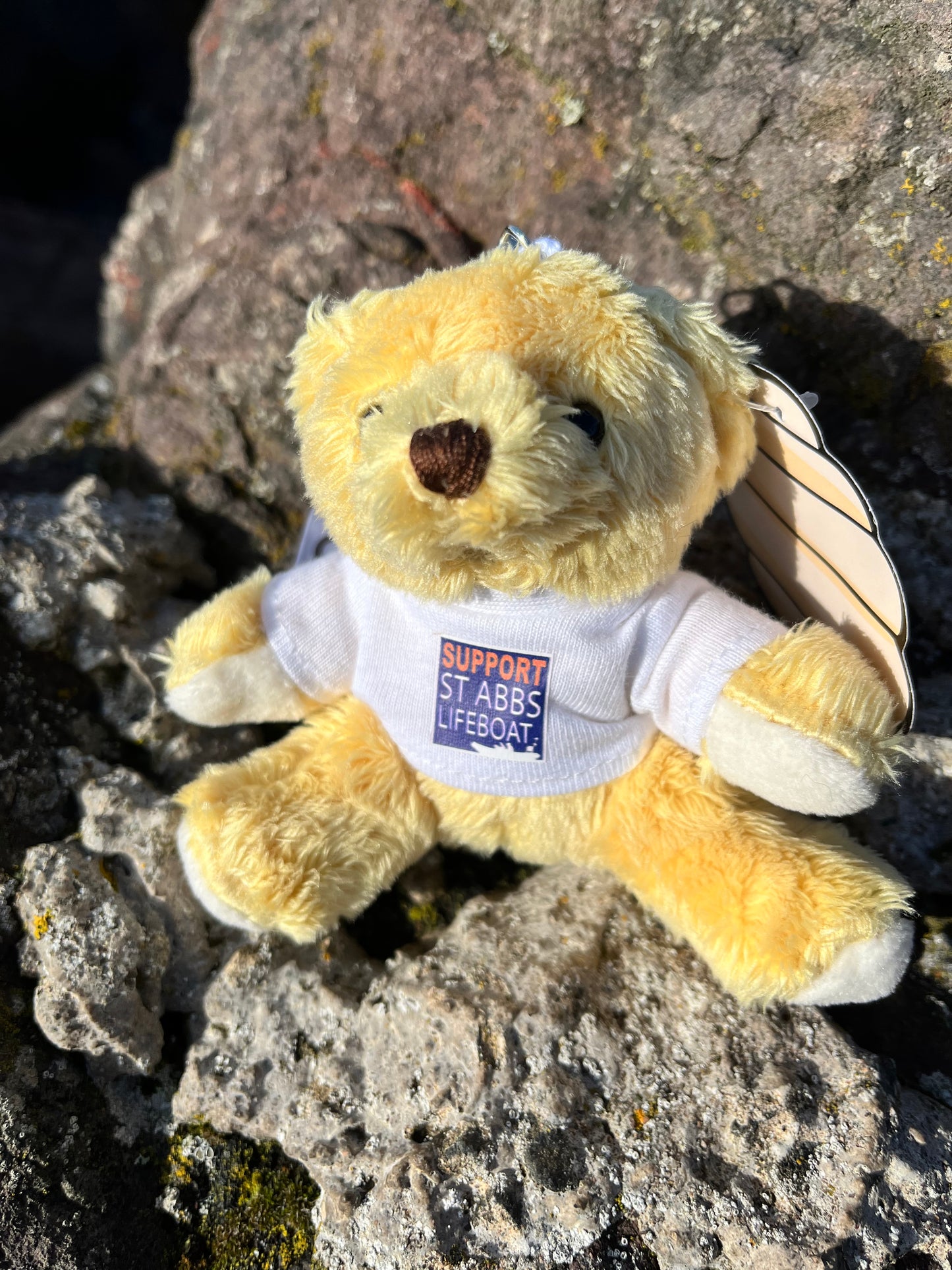 St Abbs Lifeboat Teddy Keyring